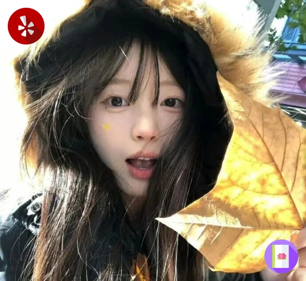 南城用户